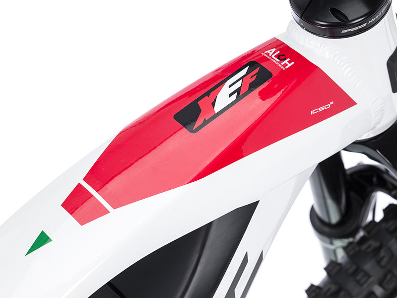 Fantic 1.9 XEF Racing LTD